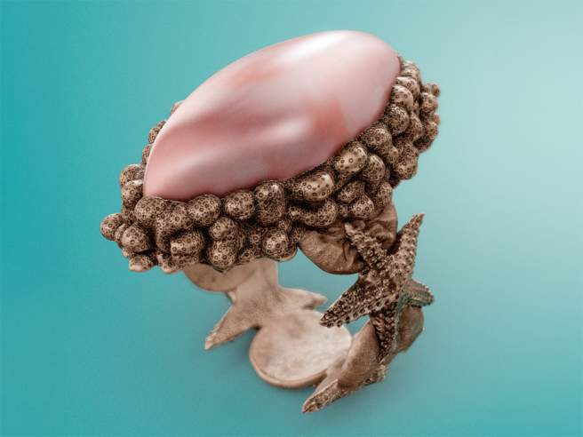 CoralReefRing